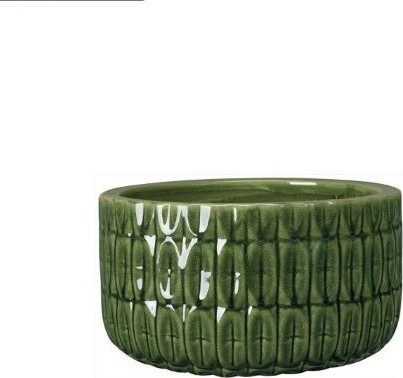 Misa Naranjas zielona