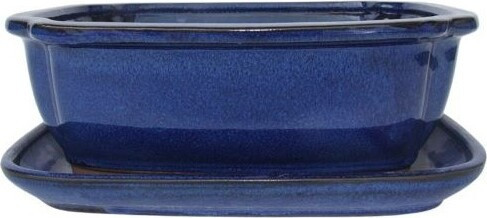 Doniczka Bonsai niebieska