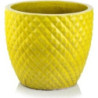 Donica Egg Ananas żółta