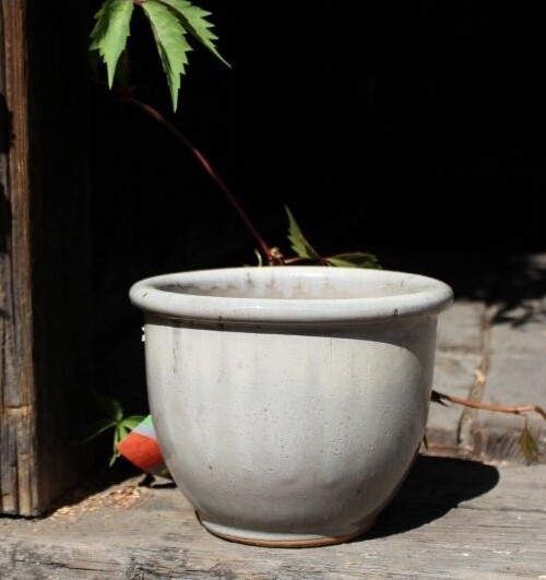 Donica Robin z rantem szara