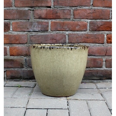 Donica Michael klasyczna oliwka