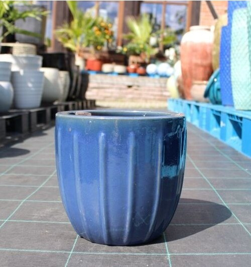 Donica Romero niebieska