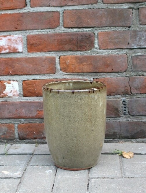 donica Michael wysoka oliwka