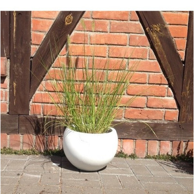 Donica DeeF betonowa kula biała