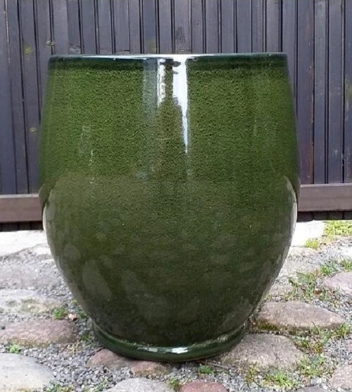 Donica Liwia zielona