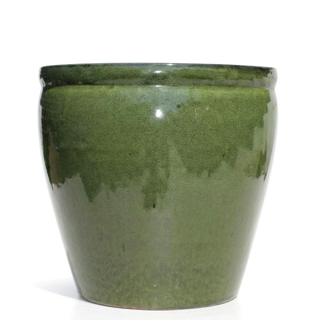 CR Donica Baryłka zielona