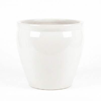 CR Donica Baryłka biała