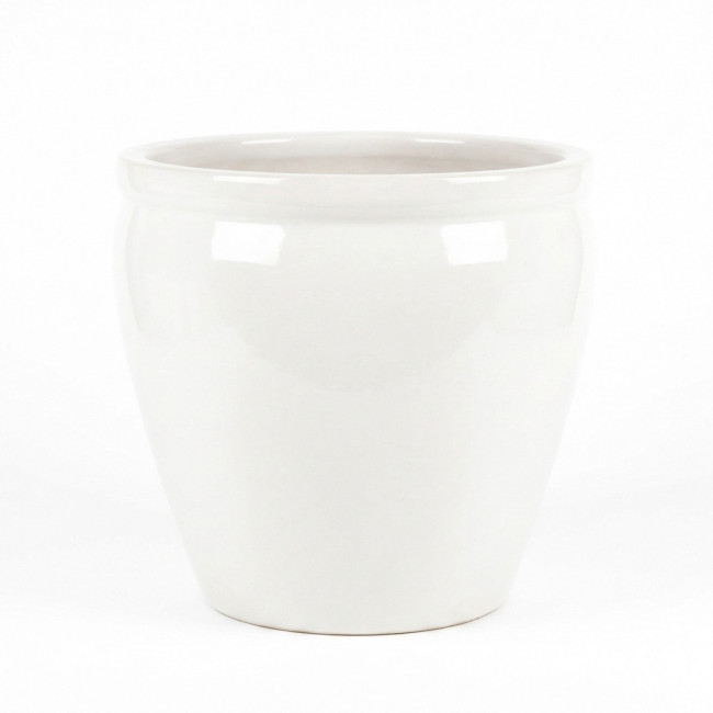 CR Donica Baryłka biała