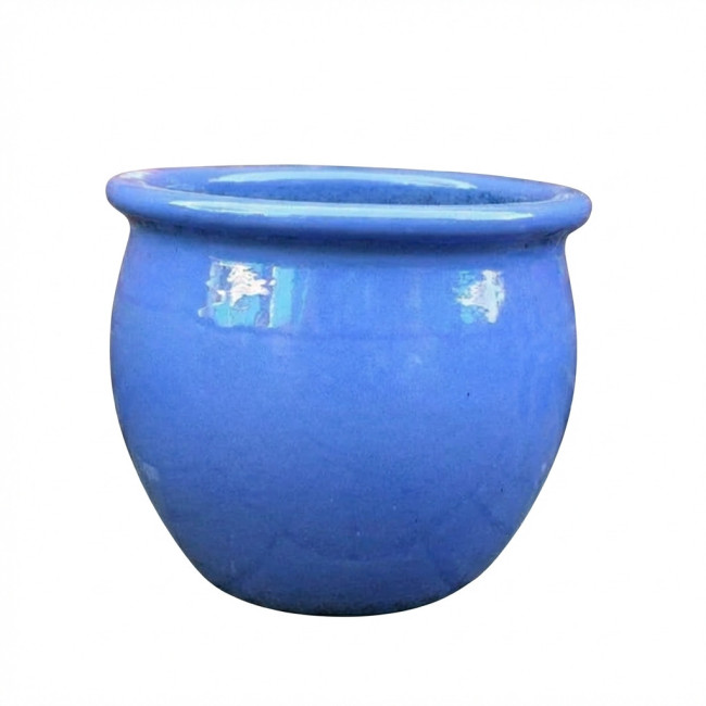 Donica Baryłka niebieska