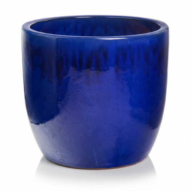 Donica Jenny kobaltowa