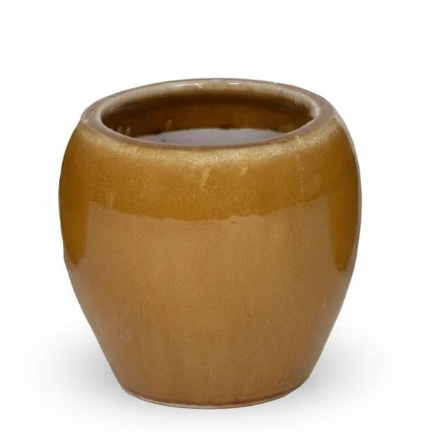 Donica Belly miodowa