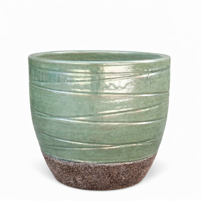 Donica Corsica zielona