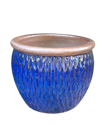 Donica Dortmund niebieska