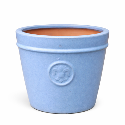 Donica Lilia błękitna