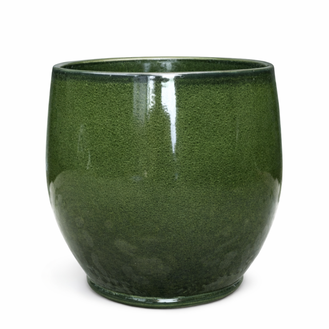 Donica Liwia zielona