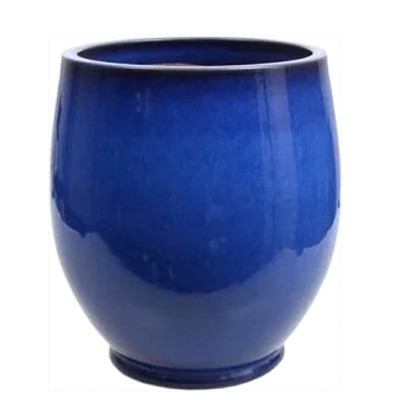 Donica Liwia niebieska