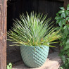 Donica Egg Ananas seledyn