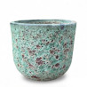 Donica Pompei Bullet jadeit