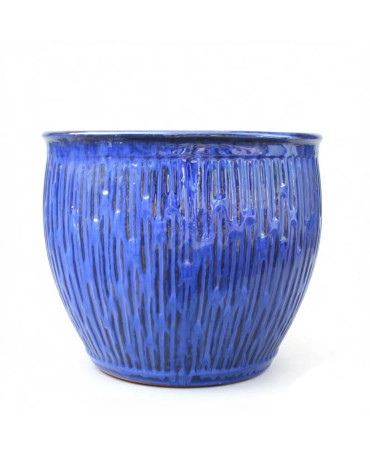 Donica Calliope niebieska