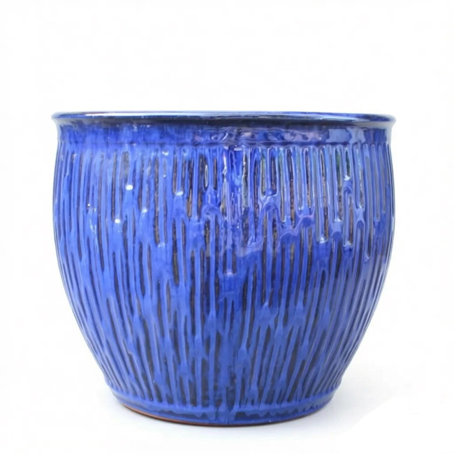 Donica Calliope niebieska