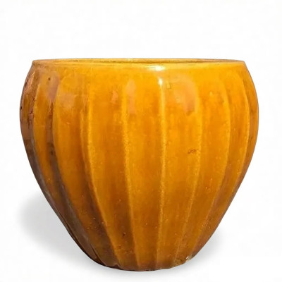 Donica Pumpkin miodowa