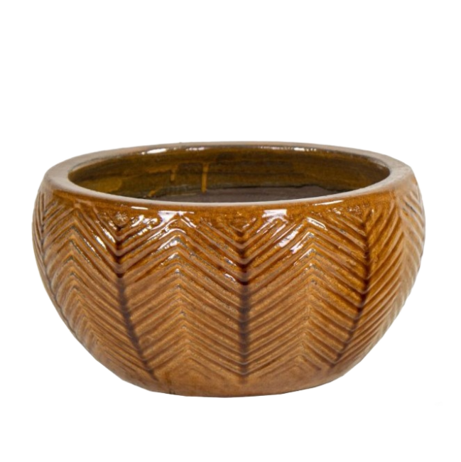 Misa Egg Jodełka miodowa