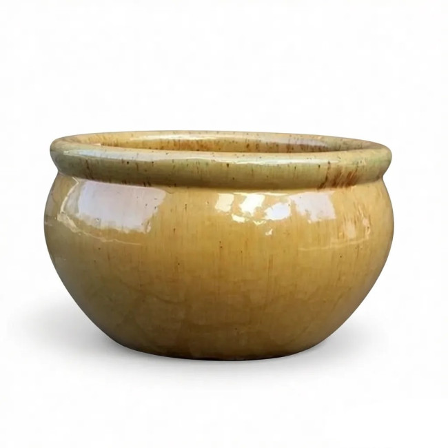 Misa Baryłka musztarda