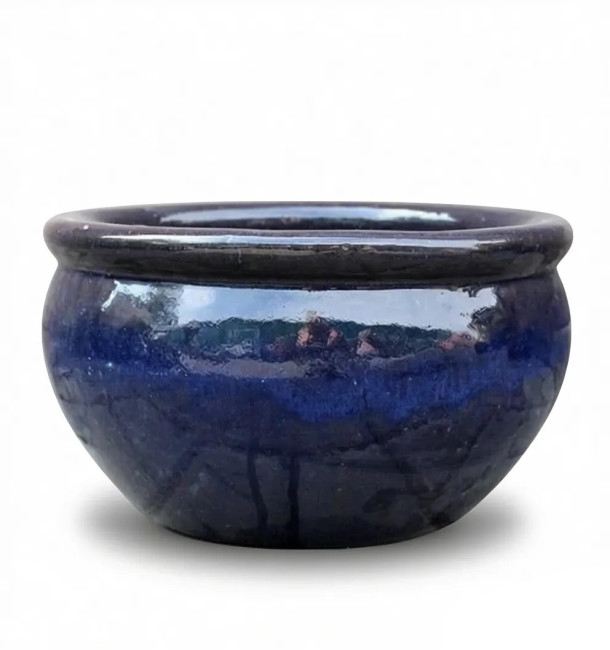 Misa Baryłka niebieska