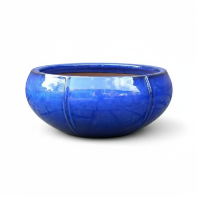 Misa Elipsa niebieska