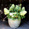 Donica Garden Old z rantem zielona