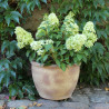 Donica Garden Old z rantem piaskowa