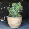 Donica Garden Old z rantem piaskowa
