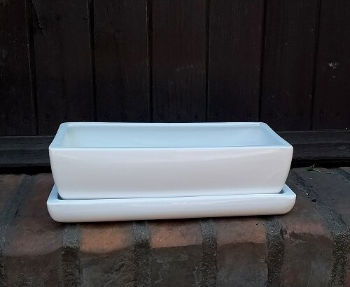 Doniczka kaktusiarka prostokątna biała