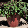 Donica Noble Egg bordo