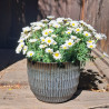 Donica Lorelai ryflowana mglisty czarny