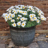 Donica Lorelai ryflowana mglisty czarny