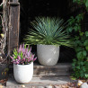 Donica cement Egg Sandy