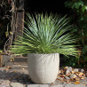 Donica cement Egg Sandy