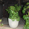 Donica cement Egg Sandy