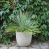 Donica cement Egg Sandy