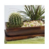 Doniczka kaktusiarka prostokątna drewno
