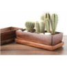 Doniczka kaktusiarka prostokątna drewno