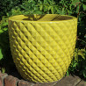 Donica Egg Ananas żółta