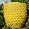 Donica Egg Ananas żółta