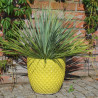 Donica Egg Ananas żółta