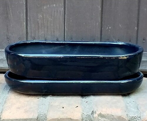 Doniczka kaktusiarka owalna czarna