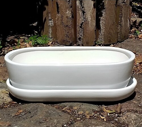 Doniczka kaktusiarka owalna biała