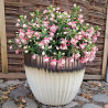 Donica Doha ryflowana niska krem