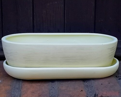 Doniczka kaktusiarka owalna kremowa srebrne przetarcia