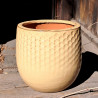 Donica Delhi plaster miodu beż
